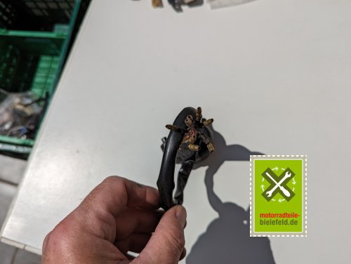 PXL_20240523_111824199